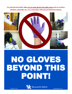 No Gloves Beyond This Point