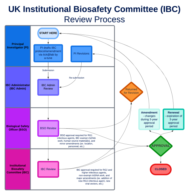 Diagram of UK IBC Review Process