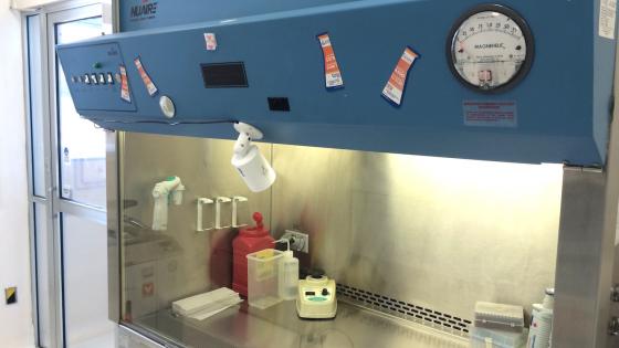 Image of a Biological Safety Cabinet