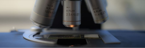 Microscope objectives