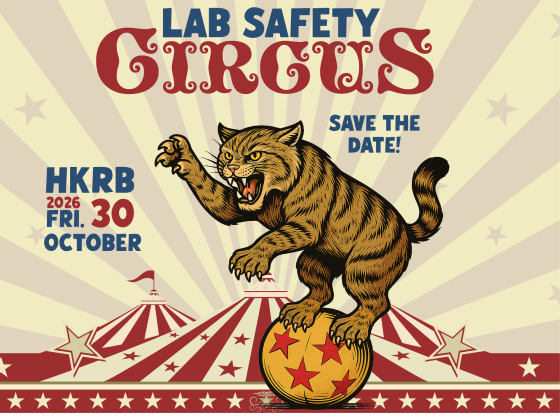 LSF Circus 2026